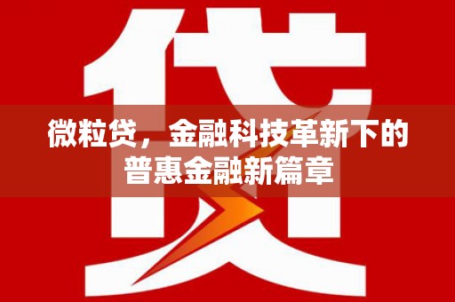 新平微粒贷，金融科技革新下的普惠金融新篇章