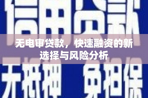 新平无电审贷款，快速融资的新选择与风险分析