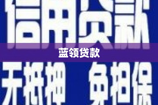 新平蓝领贷款