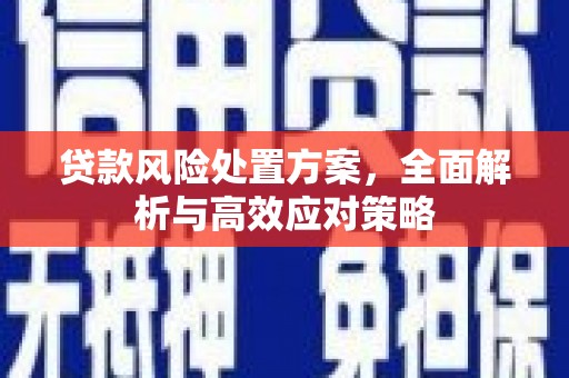 新平贷款风险处置方案，全面解析与高效应对策略
