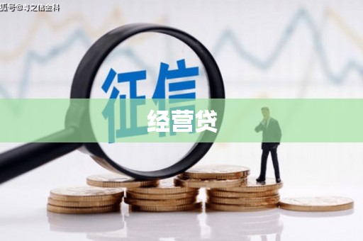新平经营贷