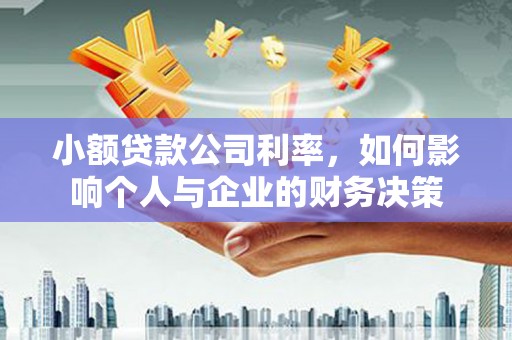 新平小额贷款公司利率，如何影响个人与企业的财务决策