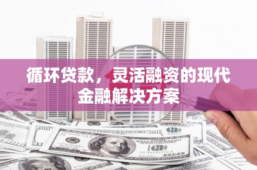 新平循环贷款，灵活融资的现代金融解决方案
