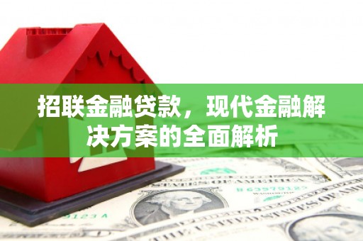 新平招联金融贷款，现代金融解决方案的全面解析