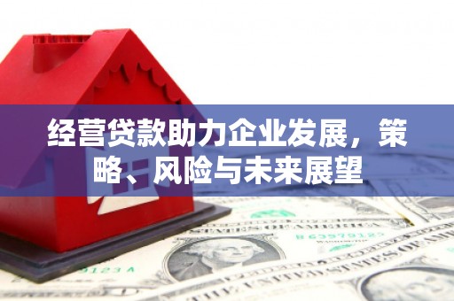 新平经营贷款助力企业发展，策略、风险与未来展望