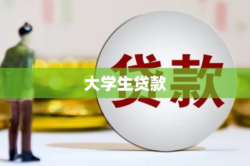 新平大学生贷款