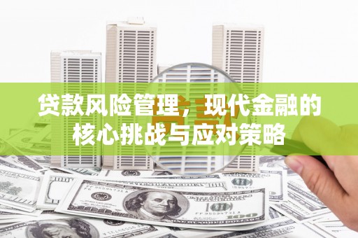 新平贷款风险管理，现代金融的核心挑战与应对策略