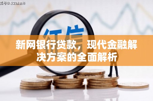 新平新网银行贷款，现代金融解决方案的全面解析
