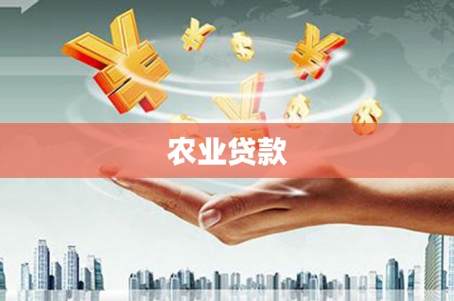 新平农业贷款