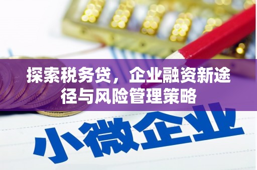 新平探索税务贷，企业融资新途径与风险管理策略