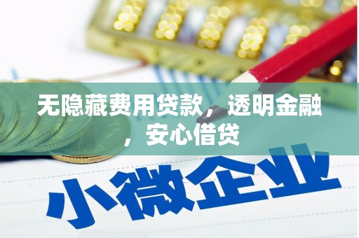 新平无隐藏费用贷款，透明金融，安心借贷