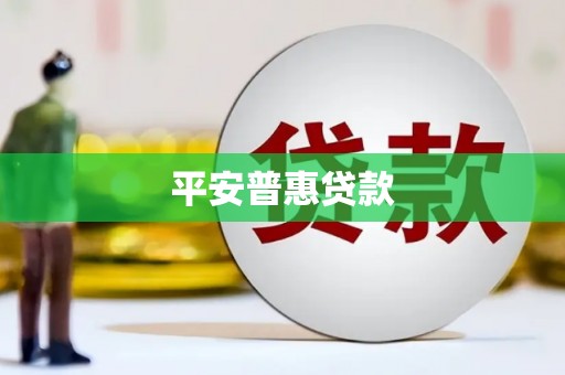 新平平安普惠贷款