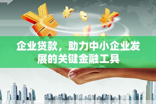 新平企业贷款，助力中小企业发展的关键金融工具