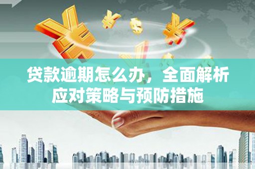 新平贷款逾期怎么办，全面解析应对策略与预防措施