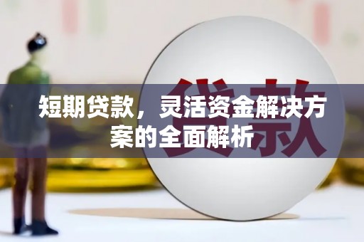 新平短期贷款，灵活资金解决方案的全面解析