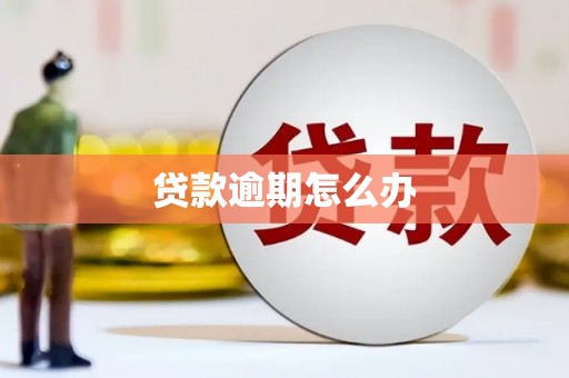 新平贷款逾期怎么办
