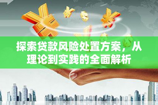 新平探索贷款风险处置方案，从理论到实践的全面解析