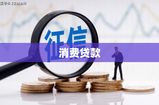 新平消费贷款