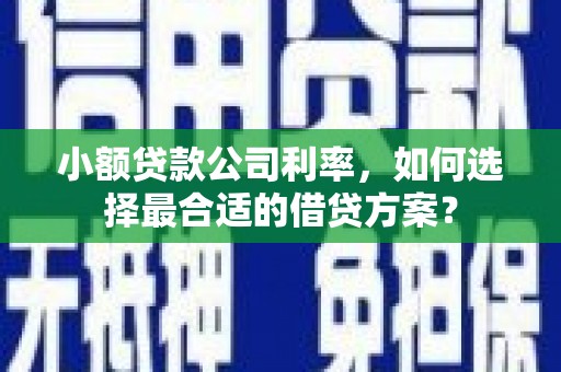新平小额贷款公司利率，如何选择最合适的借贷方案？