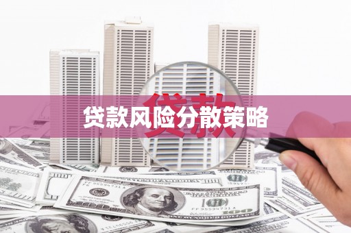 新平贷款风险分散策略