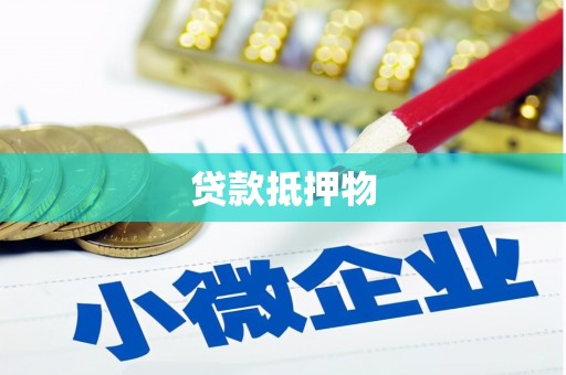新平贷款抵押物