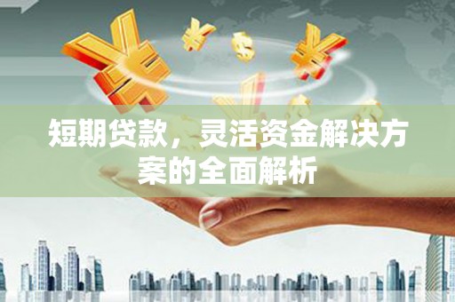 新平短期贷款，灵活资金解决方案的全面解析