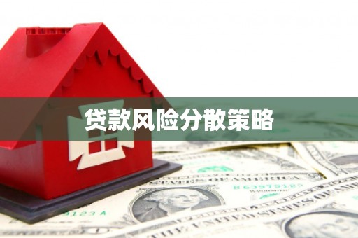 新平贷款风险分散策略