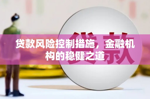 新平贷款风险控制措施，金融机构的稳健之道