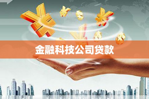 新平金融科技公司贷款