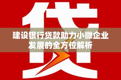 新平建设银行贷款助力小微企业发展的全方位解析