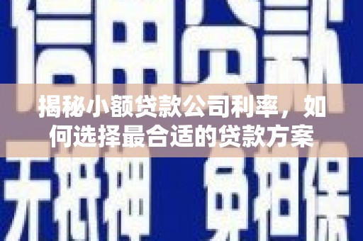 新平揭秘小额贷款公司利率，如何选择最合适的贷款方案