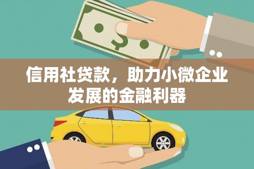 新平信用社贷款，助力小微企业发展的金融利器