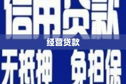 新平经营贷款