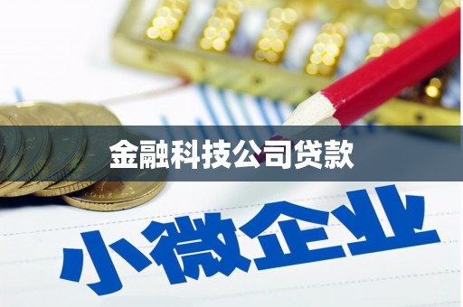 新平金融科技公司贷款