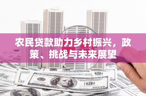 新平农民贷款助力乡村振兴，政策、挑战与未来展望