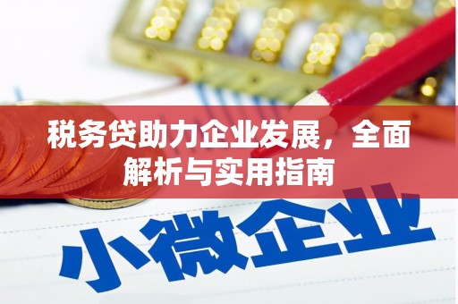新平税务贷助力企业发展，全面解析与实用指南