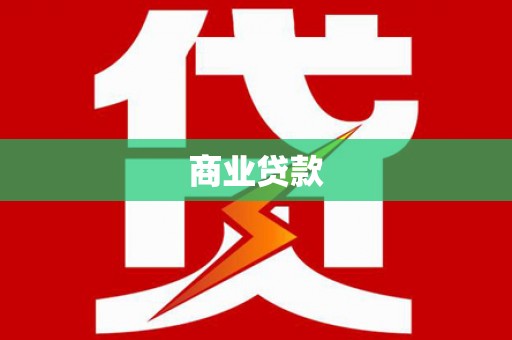 新平商业贷款