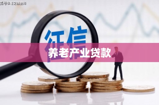 新平养老产业贷款