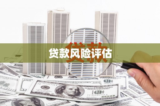 新平贷款风险评估