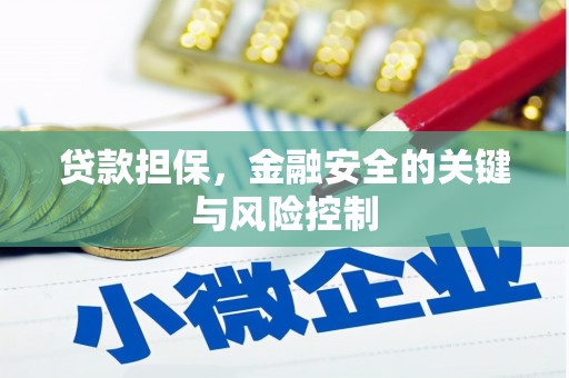 新平贷款担保，金融安全的关键与风险控制