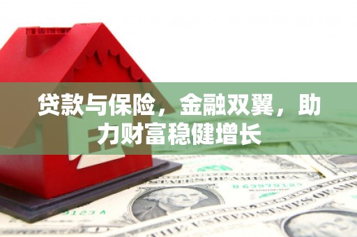 新平贷款与保险，金融双翼，助力财富稳健增长